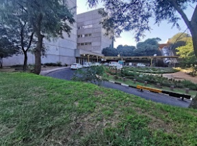 Charlotte Maxele Johannesburg Academic Hospital