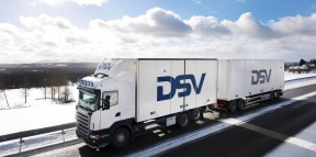 Dsv company